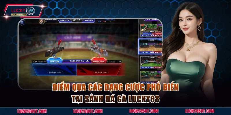 Điểm qua các dạng cược phổ biến tại sảnh đá gà Lucky88