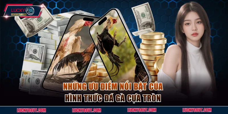 Những ưu điểm của kiểu đá gà cựa tròn 